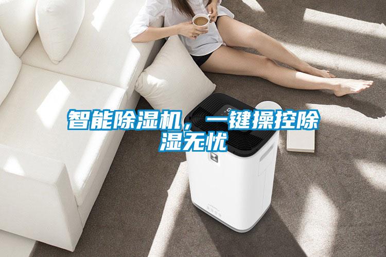 智能91抖音免费看片，一键操控除湿无忧