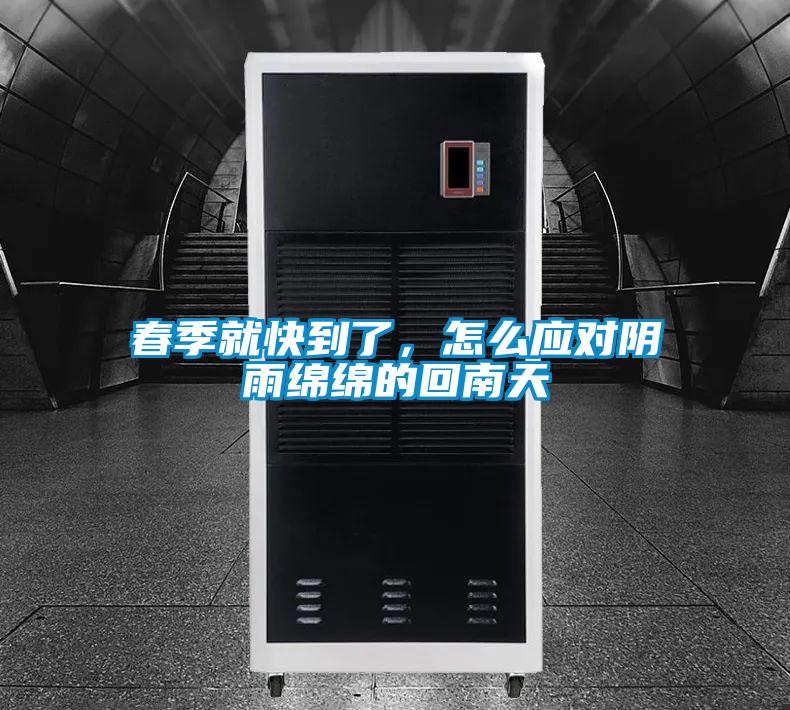 春季就快到了，怎么应对阴雨绵绵的回南天