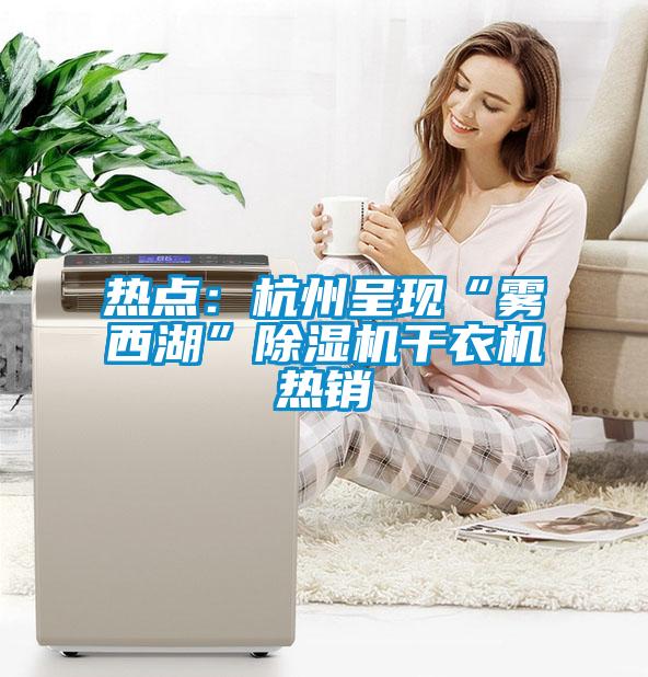 热点：杭州呈现“雾西湖”91抖音免费看片干衣机热销
