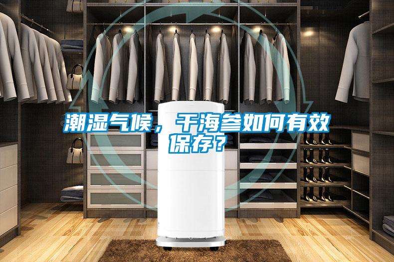 潮湿气候，干海参如何有效保存？