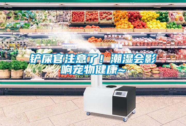 铲屎官注意了！潮湿会影响宠物健康~