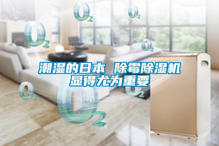 潮湿的日本 除霉91抖音免费看片显得尤为重要