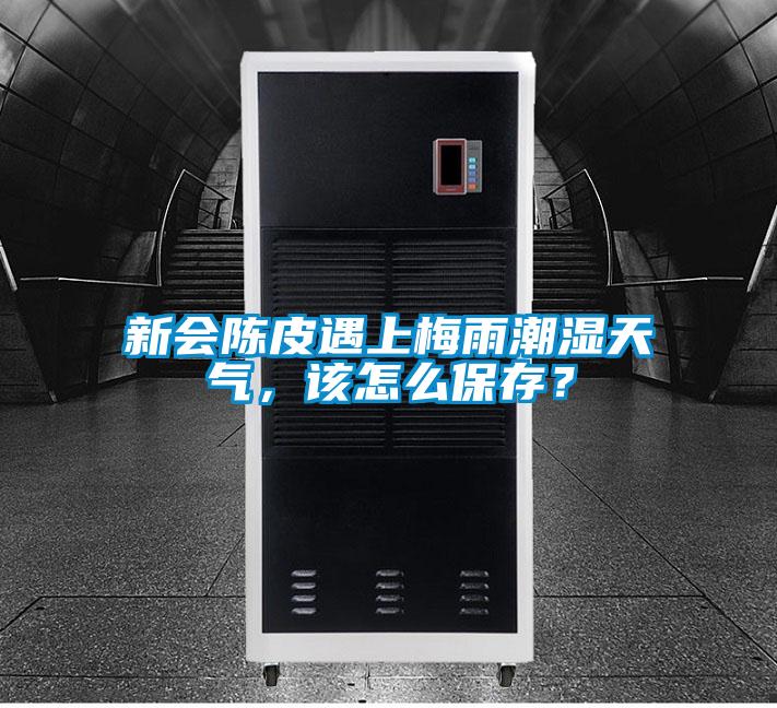 新会陈皮遇上梅雨潮湿天气，该怎么保存？