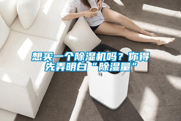 想买一个91抖音免费看片吗？你得先弄明白“除湿量”