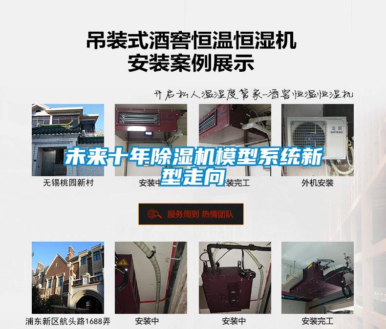 未来十年91抖音免费看片模型系统新型走向