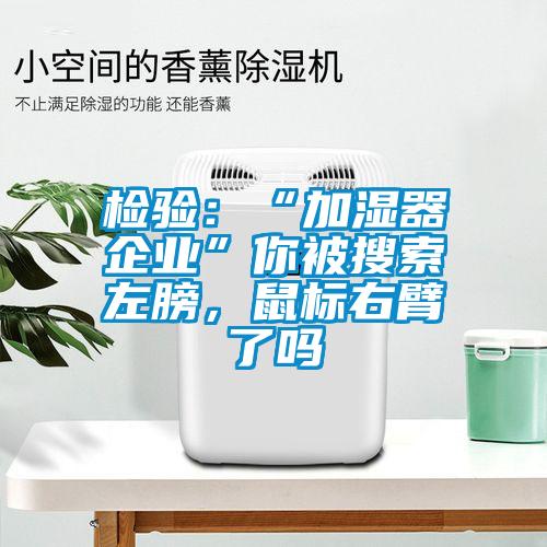 检验：“加湿器企业”你被搜索左膀，鼠标右臂了吗