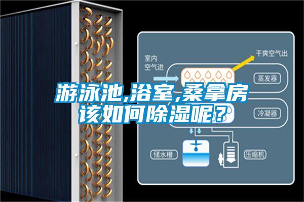游泳池,浴室,桑拿房该如何除湿呢？