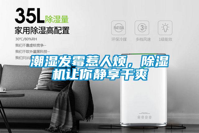 潮湿发霉惹人烦，91抖音免费看片让你静享干爽
