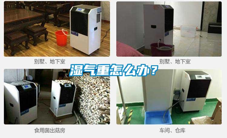 湿气重怎么办？
