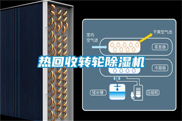 热回收转轮91抖音免费看片