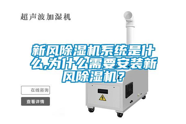新风91抖音免费看片系统是什么,为什么需要安装新风91抖音免费看片？