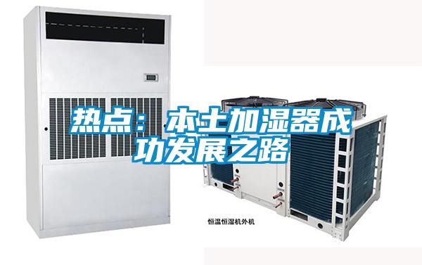 热点：本土加湿器成功发展之路