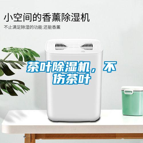 茶叶91抖音免费看片，不伤茶叶