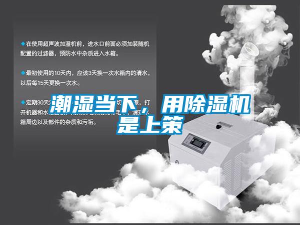 潮湿当下，用91抖音免费看片是上策