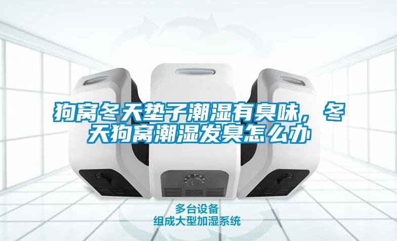 狗窝冬天垫子潮湿有臭味，冬天狗窝潮湿发臭怎么办