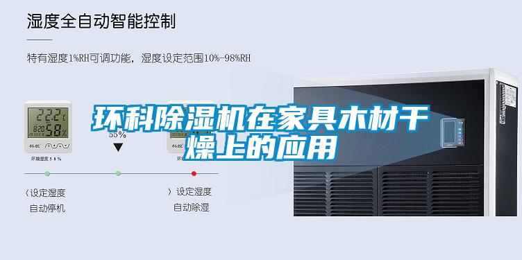 环科91抖音免费看片在家具木材干燥上的应用