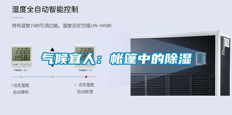 气候宜人：帐篷中的除湿