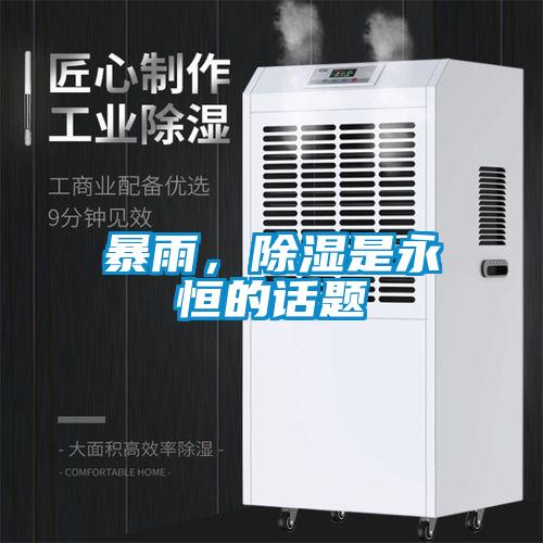 暴雨，除湿是永恒的话题