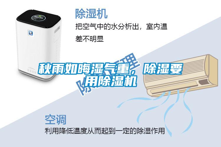 秋雨如晦湿气重，除湿要用91抖音免费看片