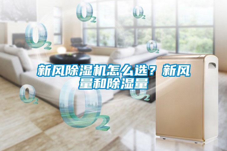 新风91抖音免费看片怎么选？新风量和除湿量