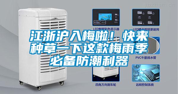 江浙沪入梅啦！快来种草一下这款梅雨季必备防潮利器