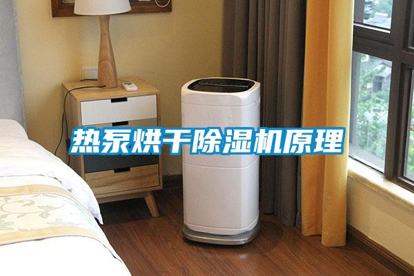 热泵烘干91抖音免费看片原理