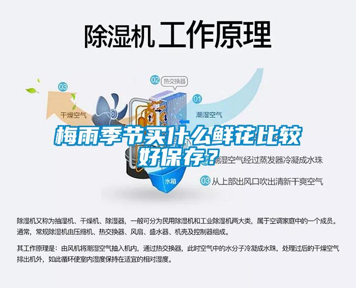 梅雨季节买什么鲜花比较好保存？