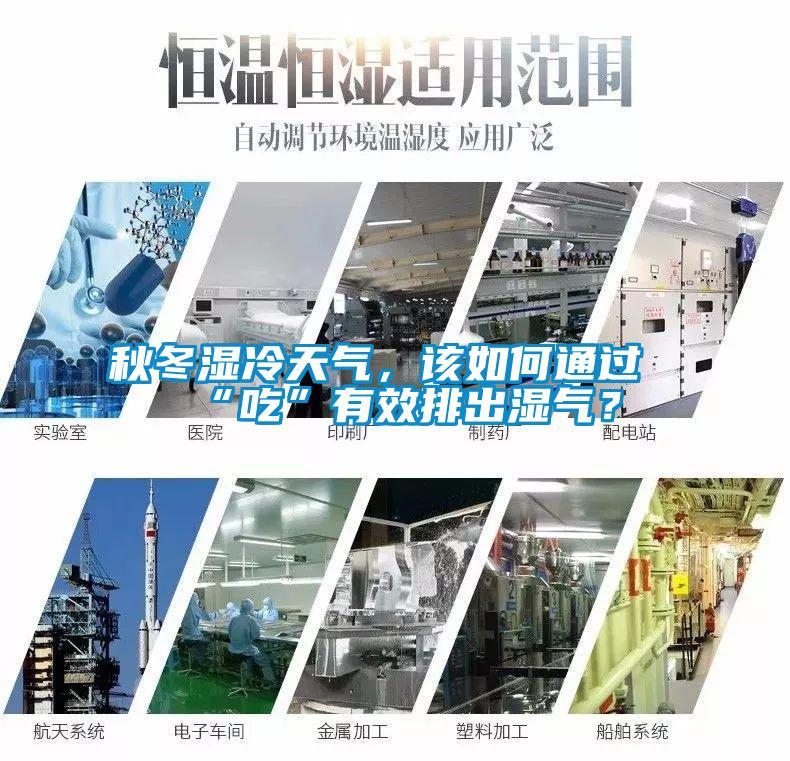 秋冬湿冷天气，该如何通过“吃”有效排出湿气？