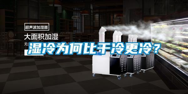 湿冷为何比干冷更冷？
