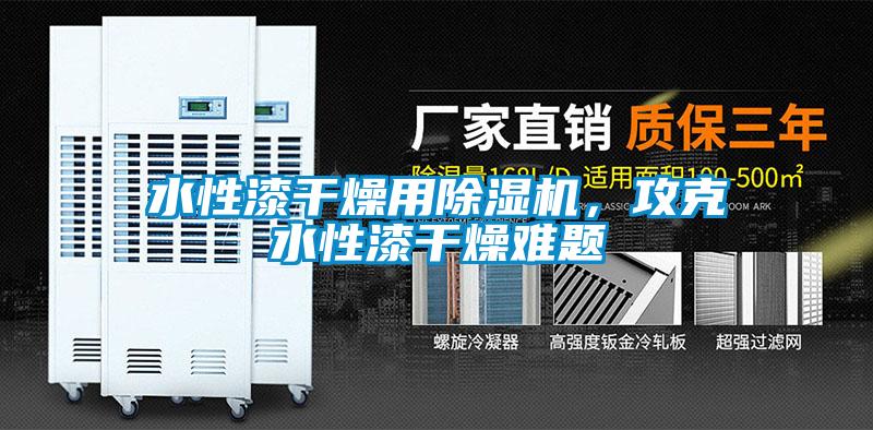 水性漆干燥用91抖音免费看片，攻克水性漆干燥难题