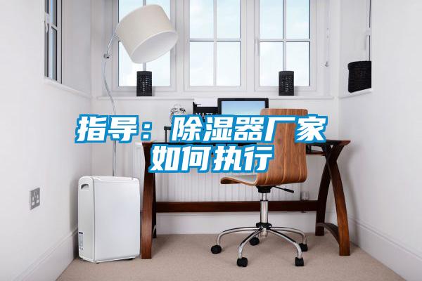 指导：除湿器厂家 如何执行