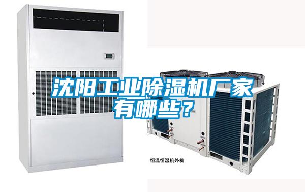 沈阳工业91抖音免费看片厂家有哪些？