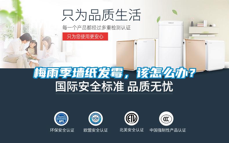 梅雨季墙纸发霉，该怎么办？