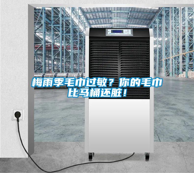 梅雨季毛巾过敏？你的毛巾比马桶还脏！