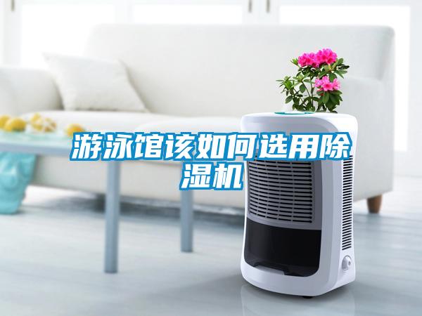 游泳馆该如何选用91抖音免费看片