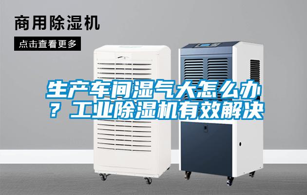 生产车间湿气大怎么办？工业91抖音免费看片有效解决