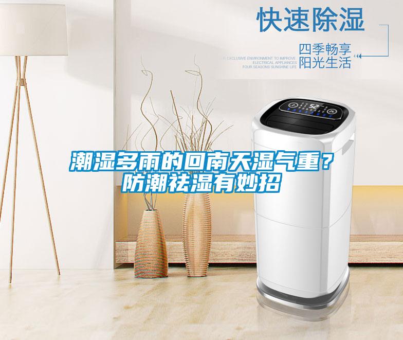 潮湿多雨的回南天湿气重？防潮祛湿有妙招