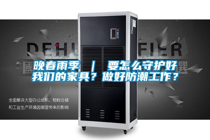 晚春雨季 ｜ 要怎么守护好成人抖音在线下载的家具？做好防潮工作？