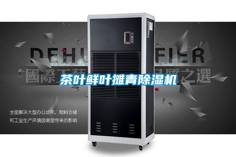茶叶鲜叶摊青91抖音免费看片