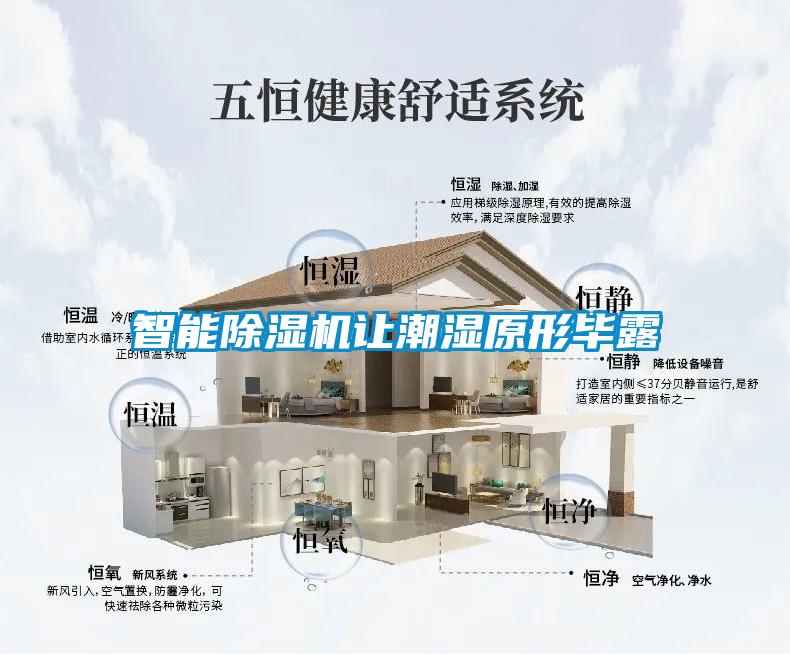 智能91抖音免费看片让潮湿原形毕露