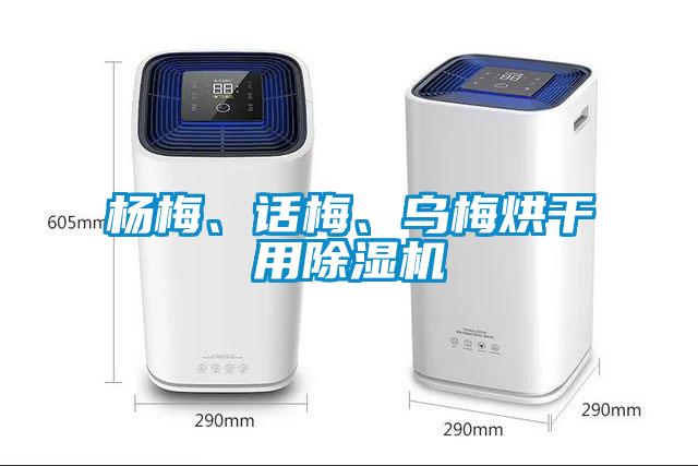 杨梅、话梅、乌梅烘干用91抖音免费看片