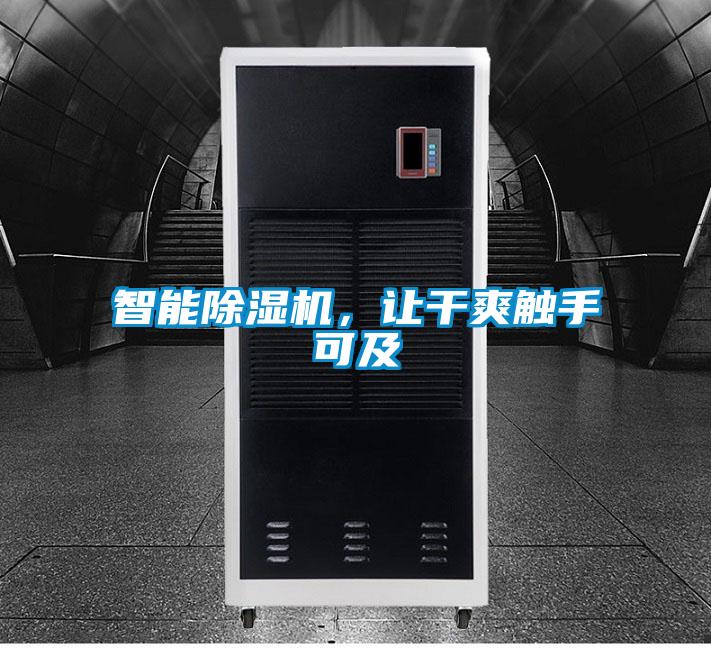 智能91抖音免费看片，让干爽触手可及