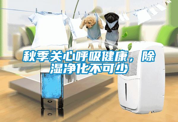秋季关心呼吸健康，除湿净化不可少