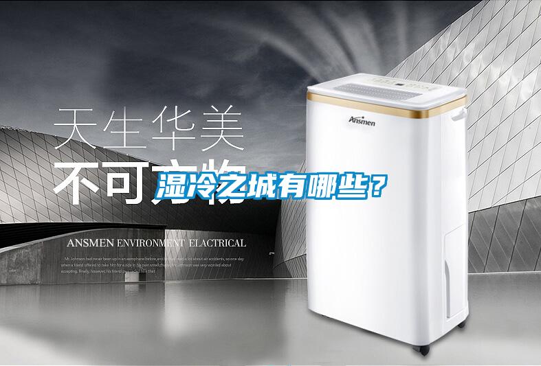 湿冷之城有哪些？