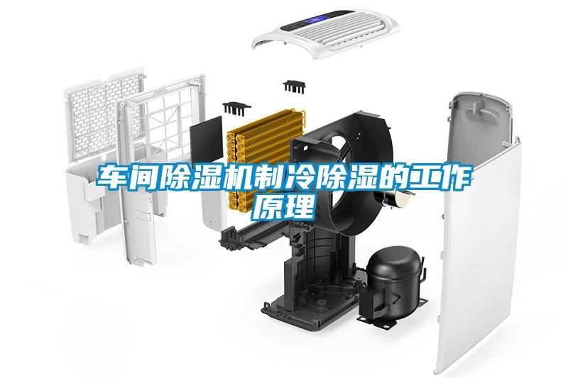 车间91抖音免费看片制冷除湿的工作原理