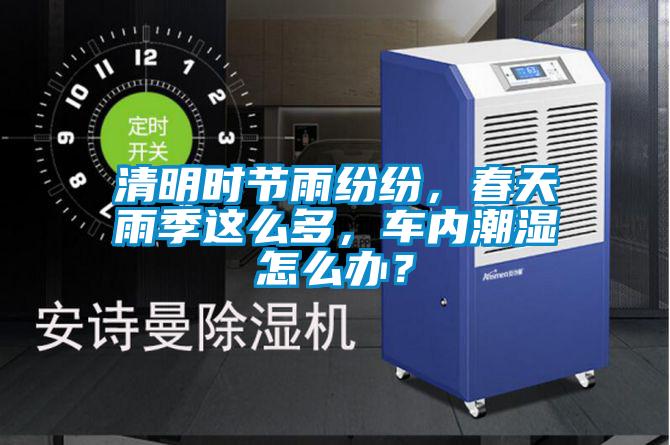 清明时节雨纷纷，春天雨季这么多，车内潮湿怎么办？