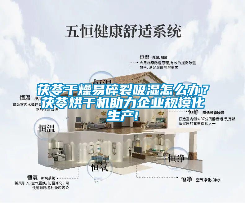 茯苓干燥易碎裂吸湿怎么办？茯苓烘干机助力企业规模化生产!