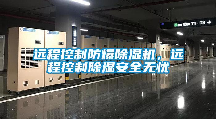 远程控制防爆91抖音免费看片，远程控制除湿安全无忧