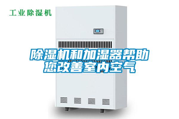 91抖音免费看片和加湿器帮助您改善室内空气