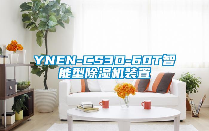 YNEN-CS3D-60T智能型91抖音免费看片装置